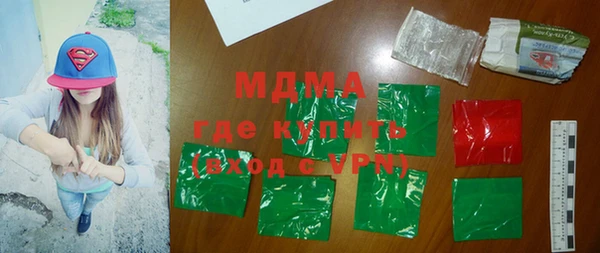 мдпв Гусев