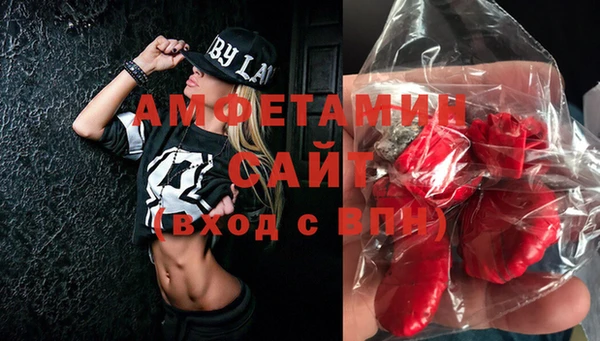 мдпв Гусев