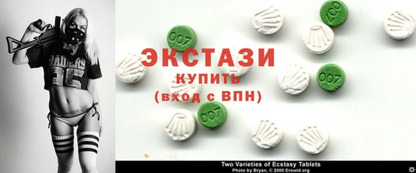 мдпв Гусев