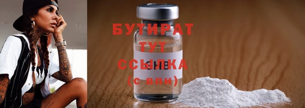 мдпв Гусев