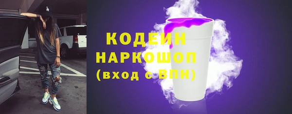 мдпв Гусев