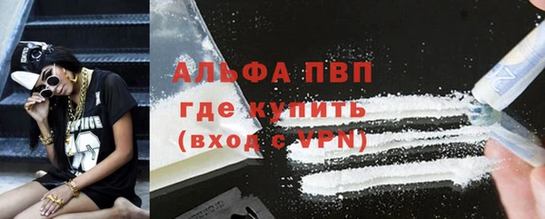 мдпв Гусев