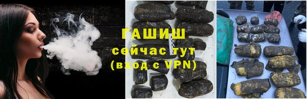 мдпв Гусев